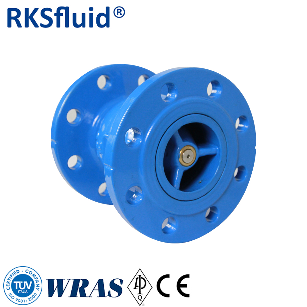 RKSfluid Фабрика производитель DIN 3 дюймов PN16 пластичный железный железом фланцевый обратный клапан цена