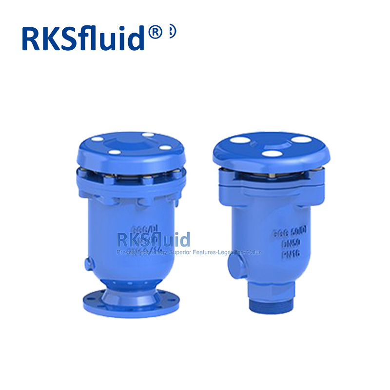 SS304 SS316 Ductile Cast Iron Threaded Automatic Air Pressure Release Valve 25mm PN16 Customization