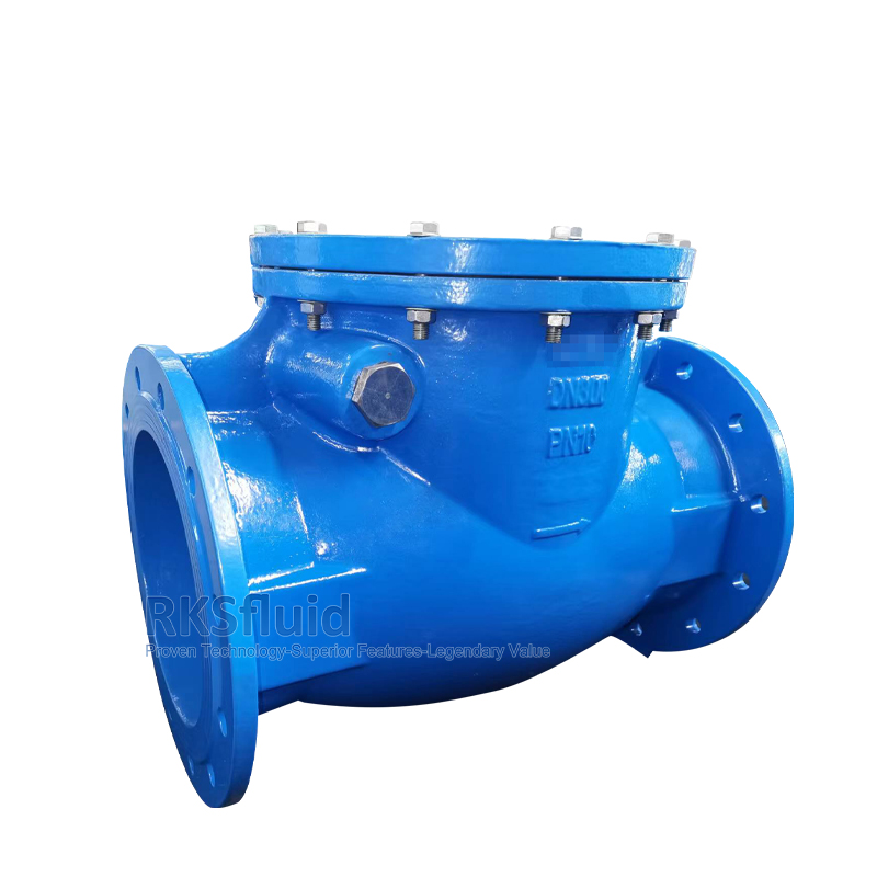 Sewage valve DIN 3202 F6 ductile iron flange swing check valve DN300 PN10 PN16 for water treatment