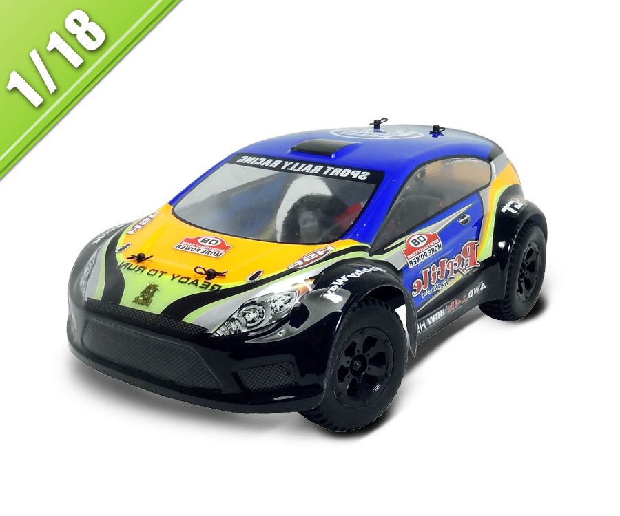 2.4G  1/18 Scale RC Electric Powered Rally Car TPER-1808