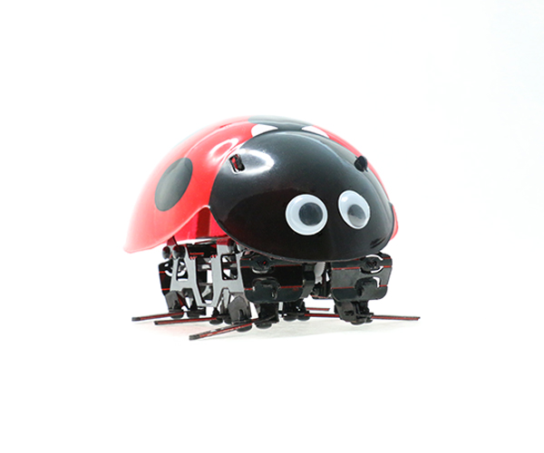 2.4G DIY ladybug Robot        F10