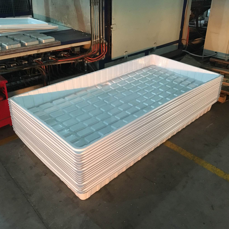 Vacuum Forming Indoor Large Plastic Garden Grass Seed Plant Trays for Hydroponics