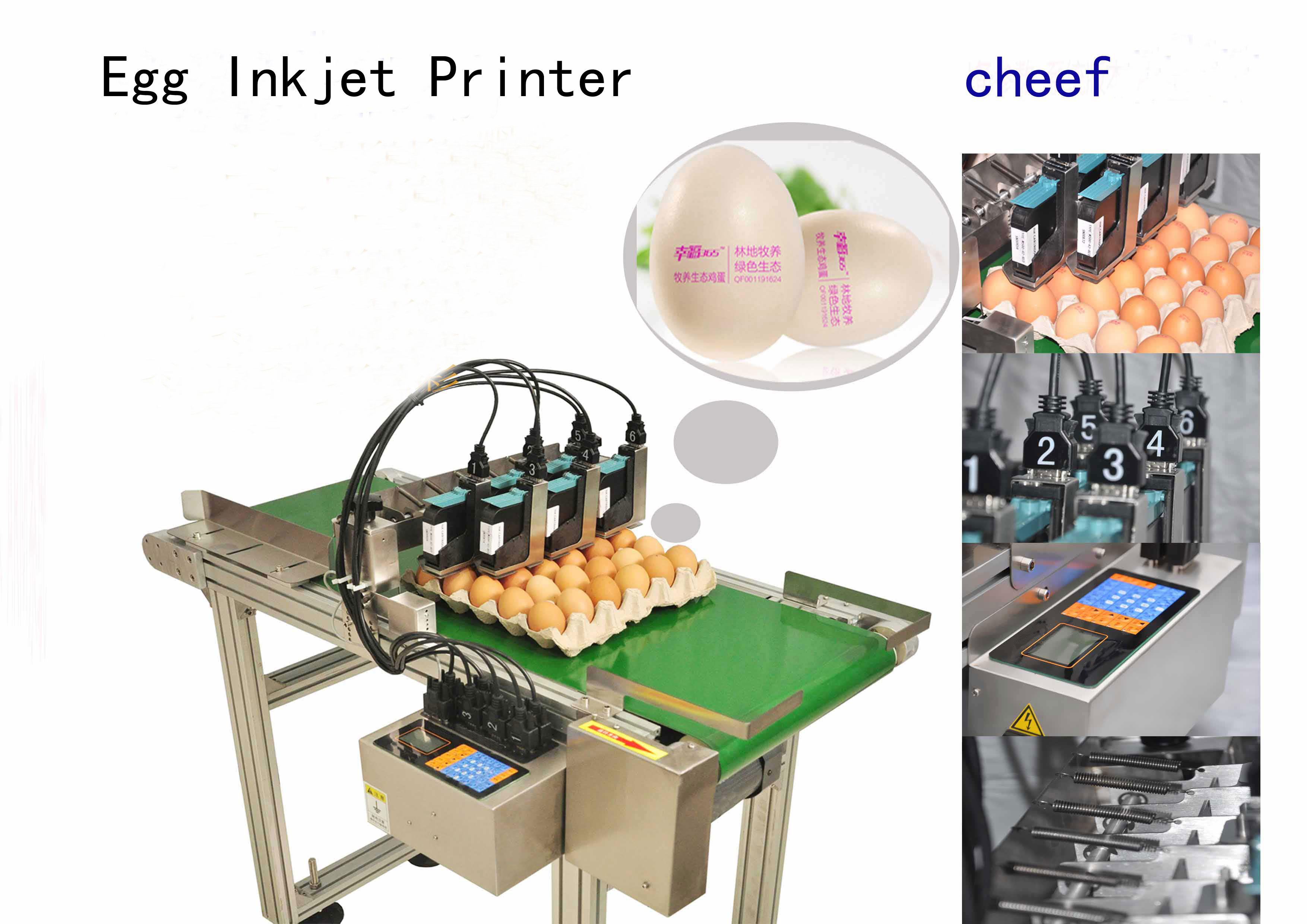 fabricante fornece impressoras jato de tinta específicas para ovos de alta eficiência com um transportador de 2 metros