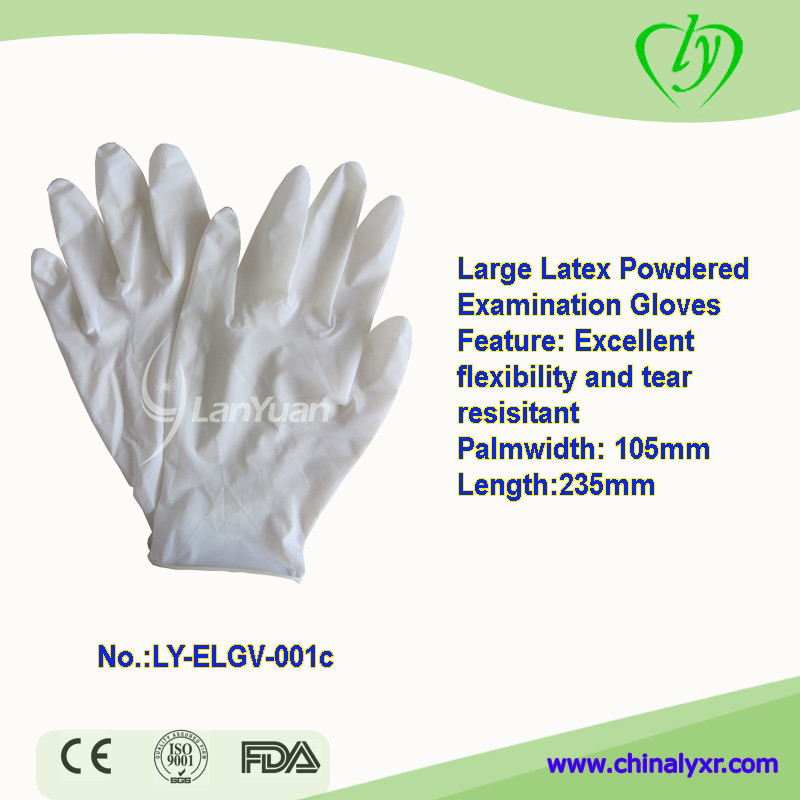Large Latex Powdered Examination Gloves
