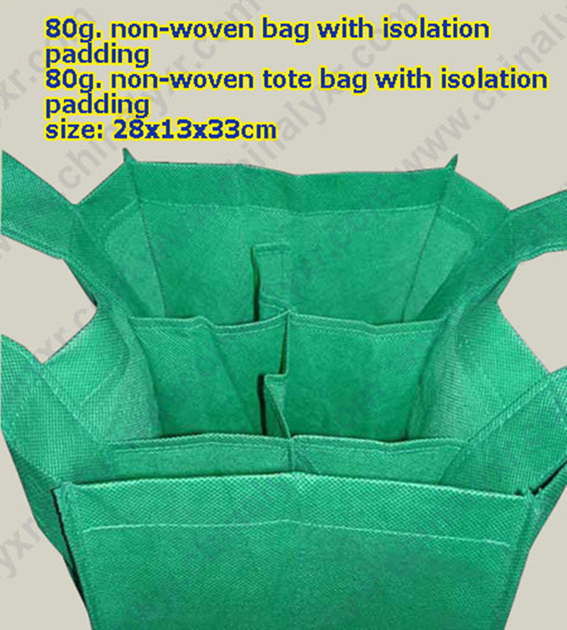 Light Weight Grocery Bags with Isolation Padding