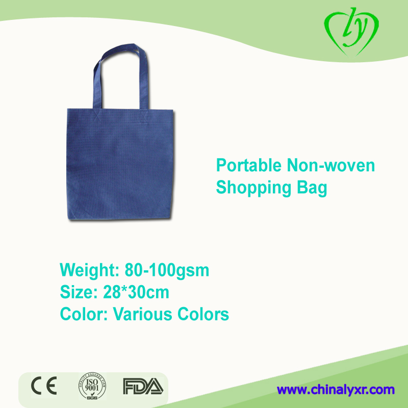 Portable Non woven  Shopping Bag