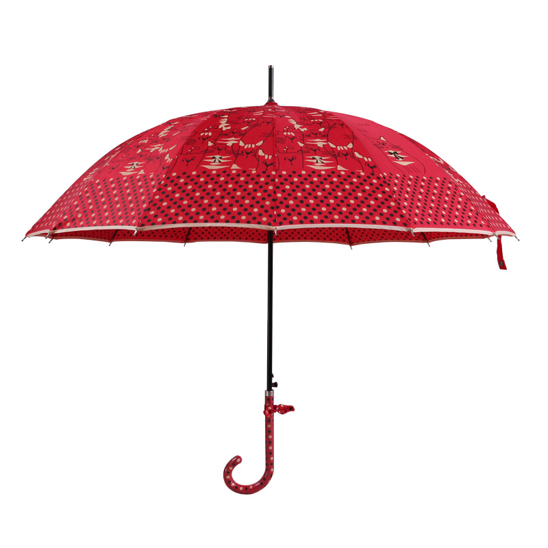 16 갈비 아름다운 여성 우산
