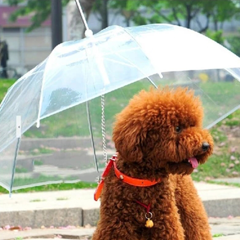 zon huisdier hond paraplu