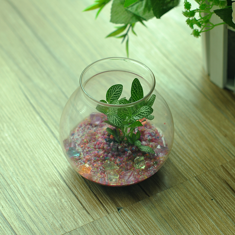 vetro borosilicato acquario