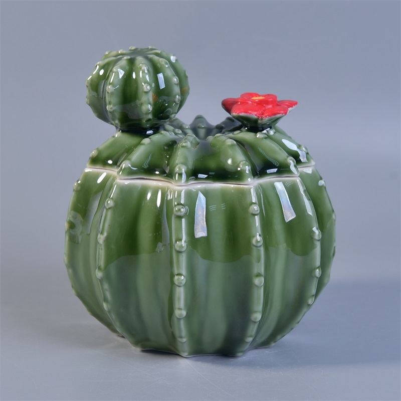 Nuovo vaso di cactus di ceramica di nuova decorazione
