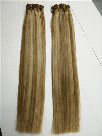 100% Human Indian Smooth Silky Straight Clip In Remy Hair Extension
