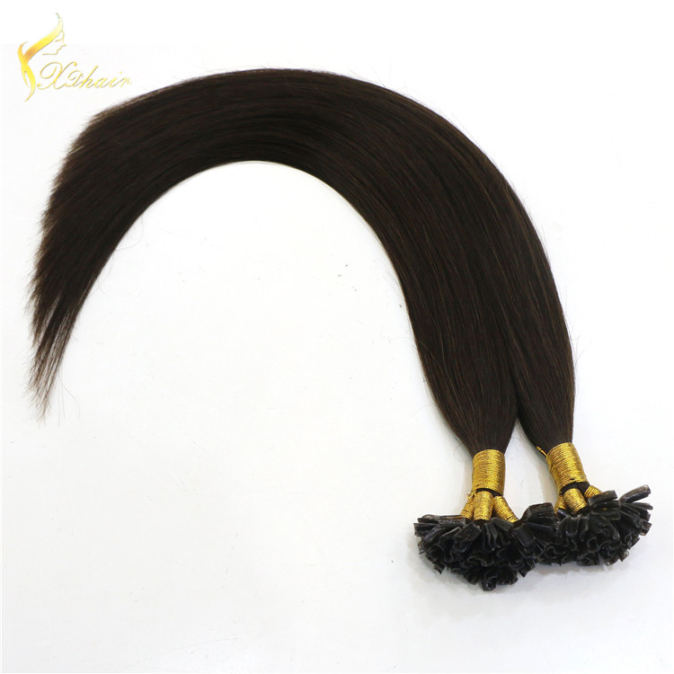 20-26 Inch Garde 8a Russian Hair Extensions Remy 1g I Tip Hair