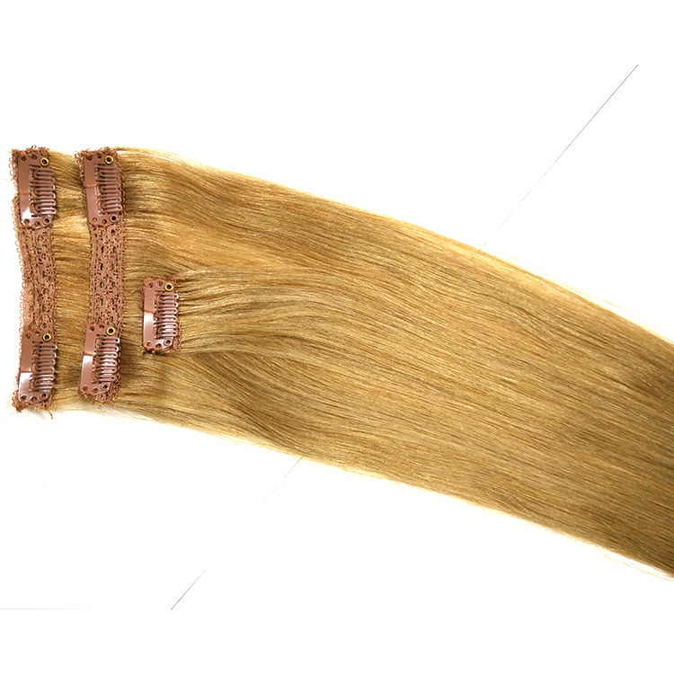 clip de dentelle de cheveux Braizllian dans les cheveux prix usine gros cheveux humains