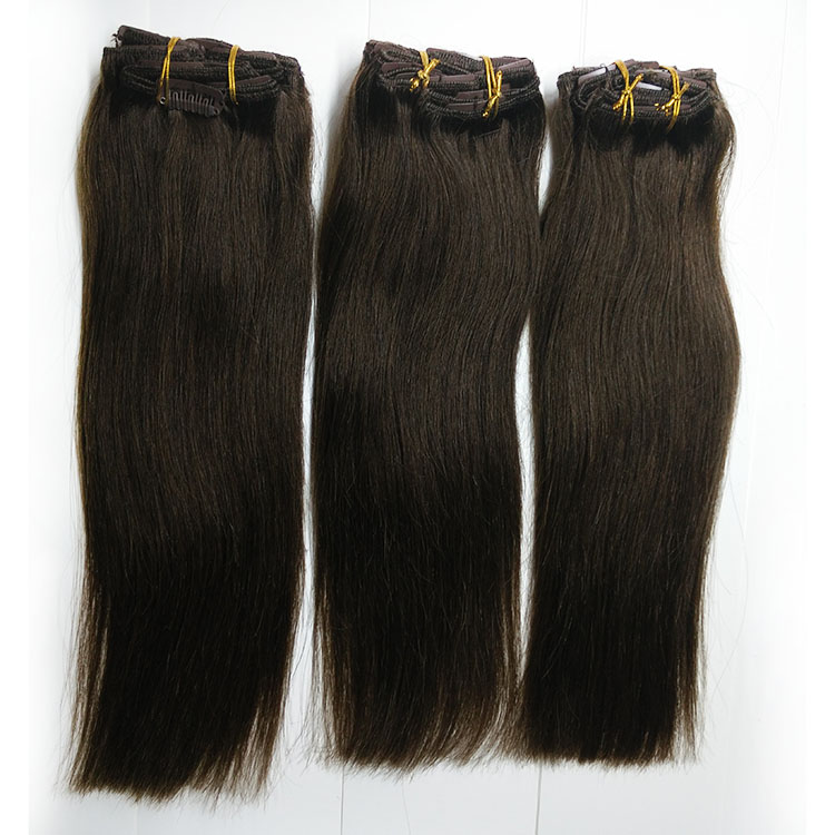 Clip in human hair extension top quality hair natural beauty hair