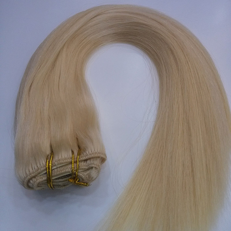 factory price human clip in hair extensions