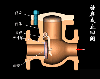 check valve 06.gif