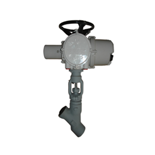3/8'' 4500LB A105 Rotork electrical actuator with hand wheel SW Y type globe valve