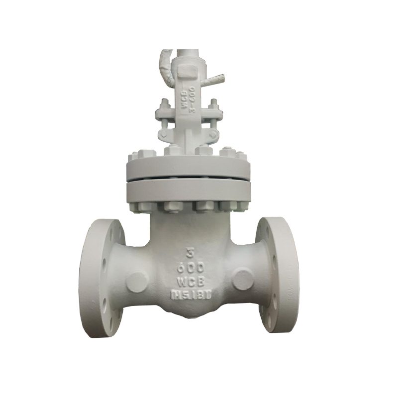 3inch 600LB WCB RF flange manual gate valve