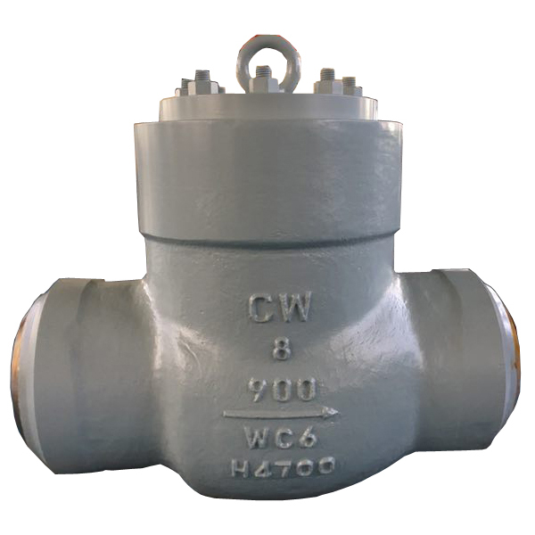 WC6 High temperature high pressure seal BW check valve