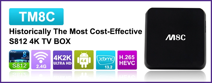 Full HD Media Player Cheapest 4K 1GB RAM WiFi 2.4GHz H265 Fully Decode XBMC 13.2 iptv middleware tv box TM8C