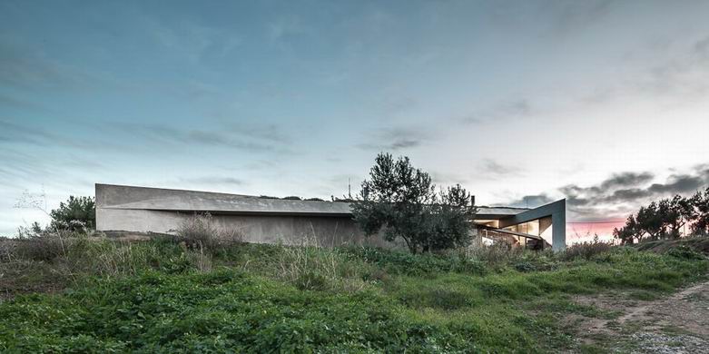 Cut-down real wood blinds wholesales