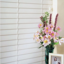 China Paulownia persianas de madeira, venda quente de madeira cortina cortinas fornecedor na china fabricante