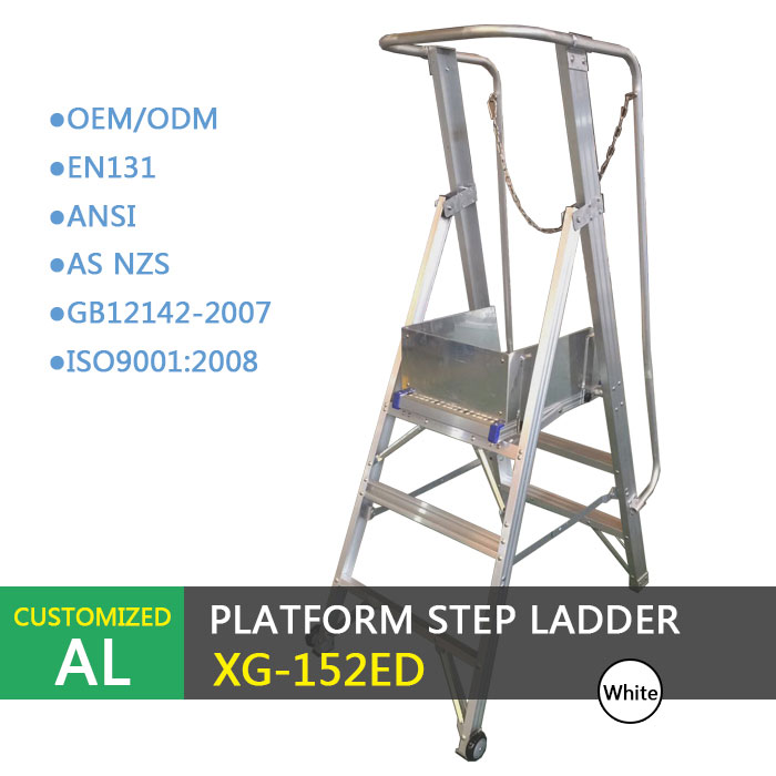 Scaletta passo passo per piattaforma in alluminio Xingon con porta di sicurezza ANSI