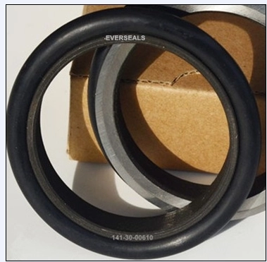 GNL6360 IN2285 Replacement Seal Rings