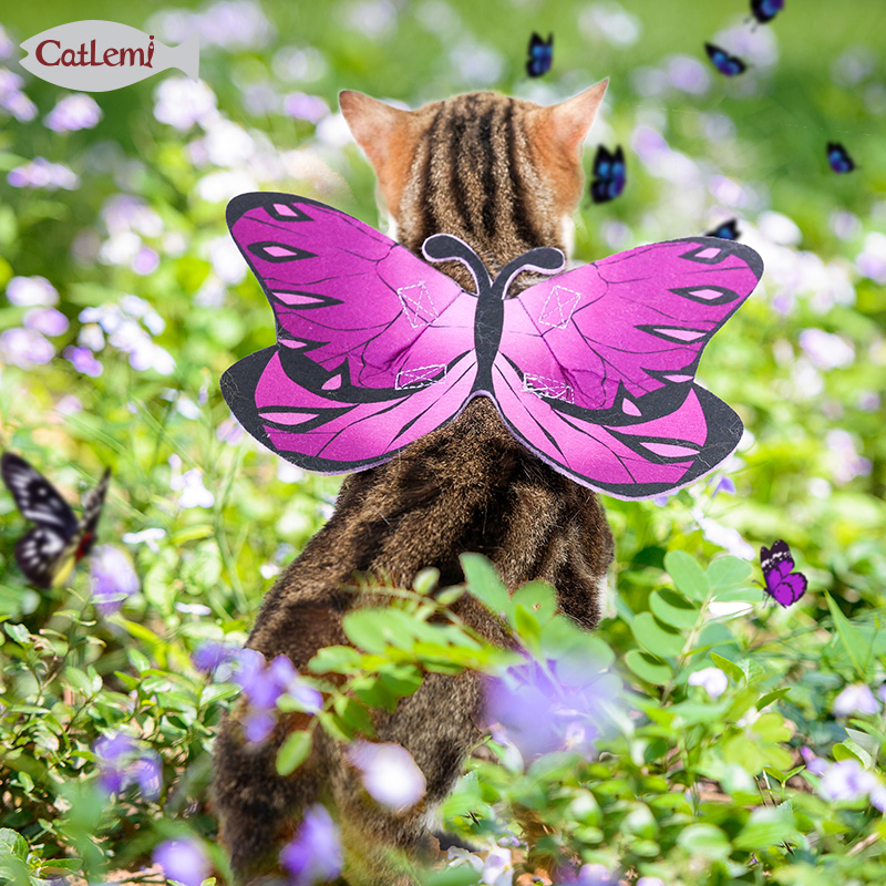 万圣节宠物用品搞笑回头率100的猫服饰 神仙美猫装扮可爱猫咪蝴蝶变身装