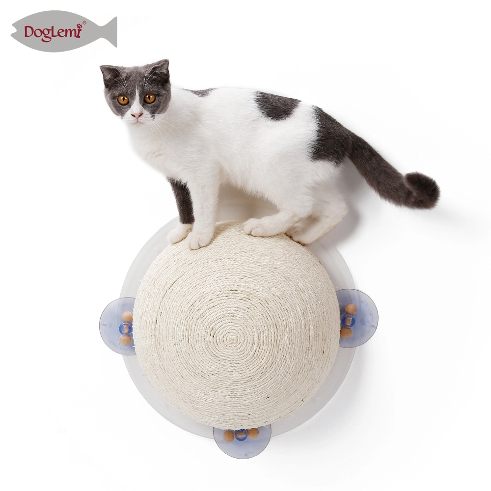 porcelana Gato lechón atrapando una pelota semiesférica fabricante