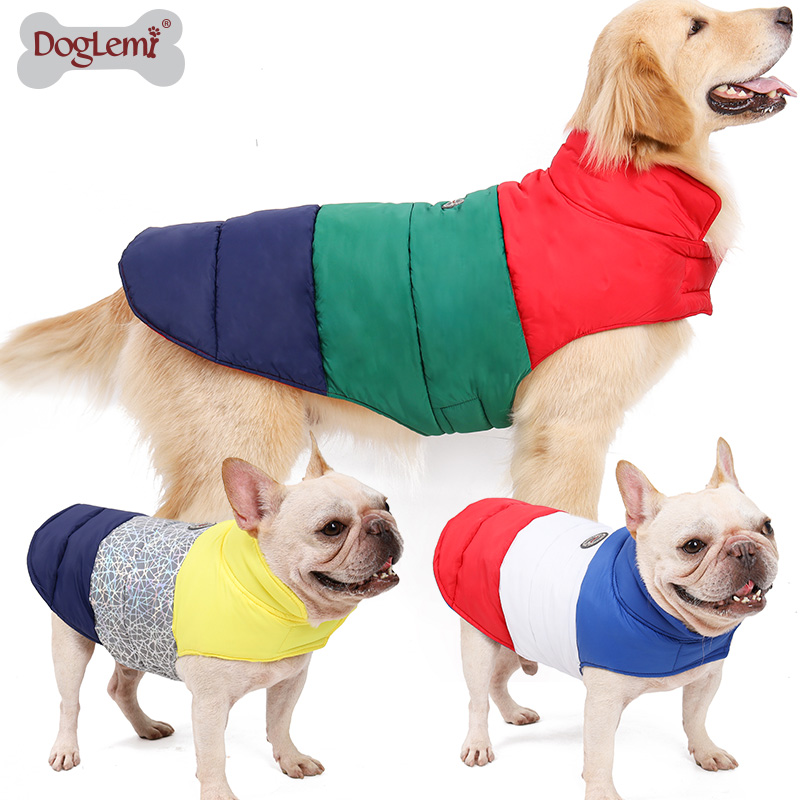 Colorful winter dog clothes