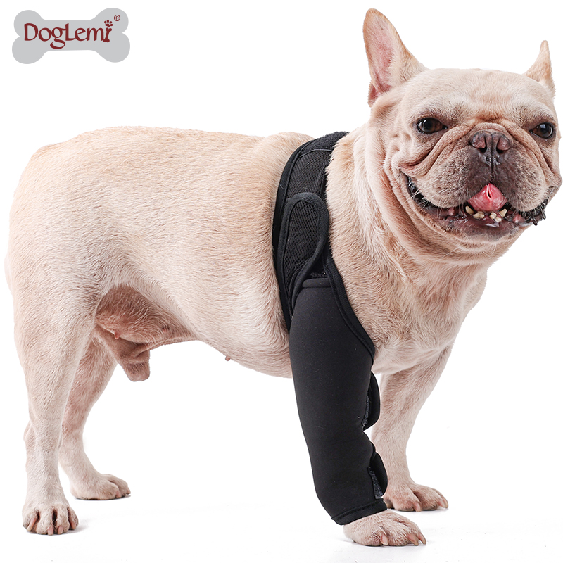 Dog Front Back Leg Support Brace Pet Injury Knee Protector Hock Joint Leg Sleeve for Hind Leg Pet Brace Heals and Prevent Injuries