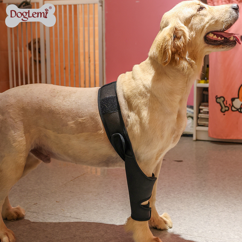 Dog Front Back Leg Support Brace Pet Injury Knee Protector Hock Joint Leg Sleeve for Hind Leg Pet Brace Heals and Prevent Injuries