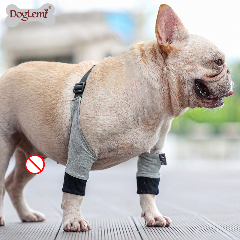Dog Recovery Sleeve Protector Pet Leg Wounds Prevent Licking Dog Front Legs Joint Protection Brace Sleeve