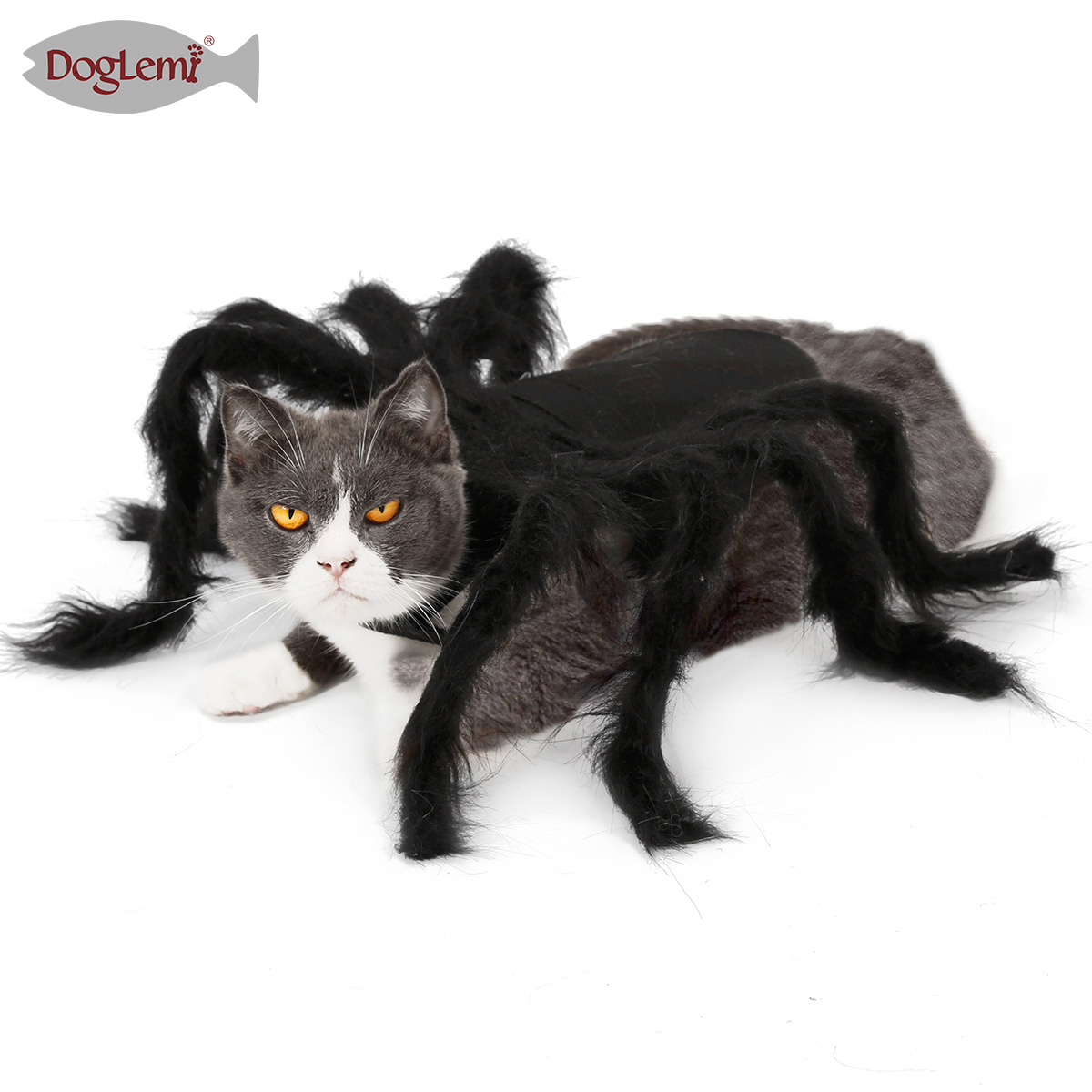Halloween Spider Pet Dress Up