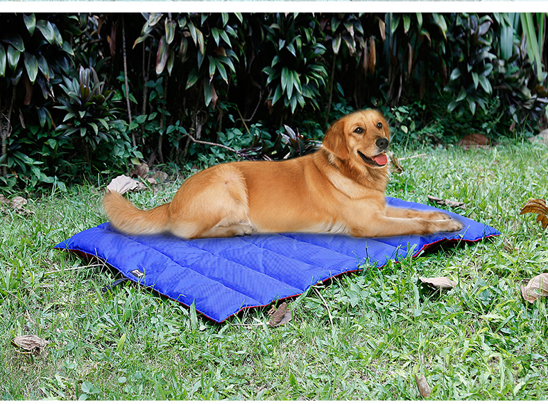 Large Travel Dog Blanket