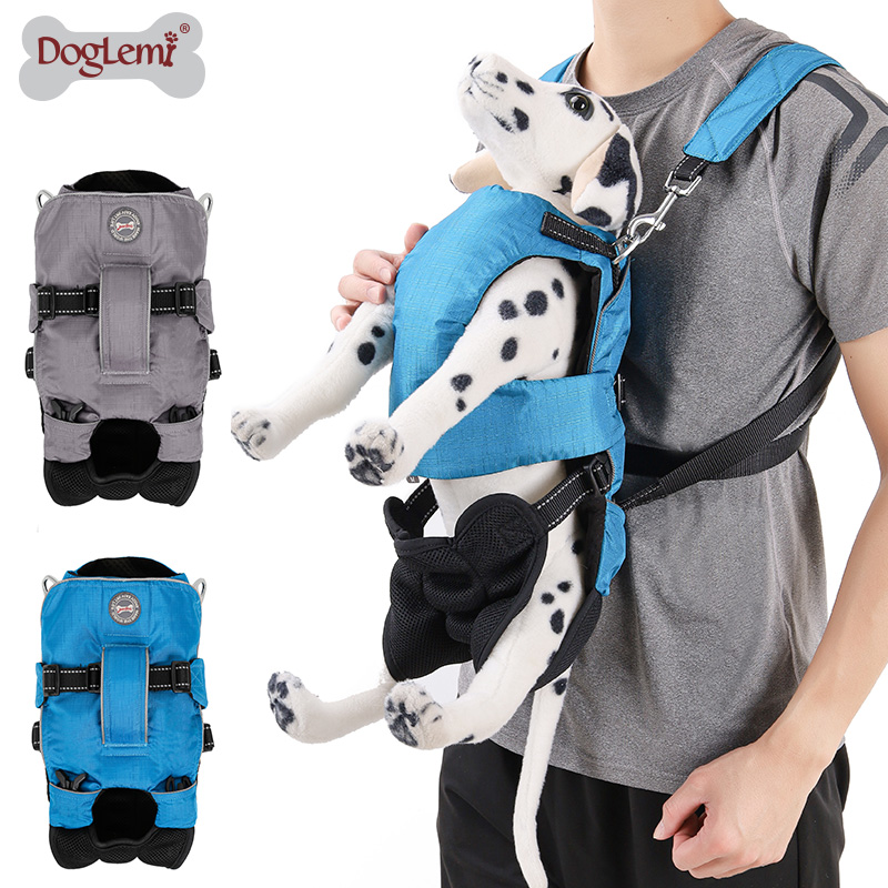Multifunctional dog walking backpack