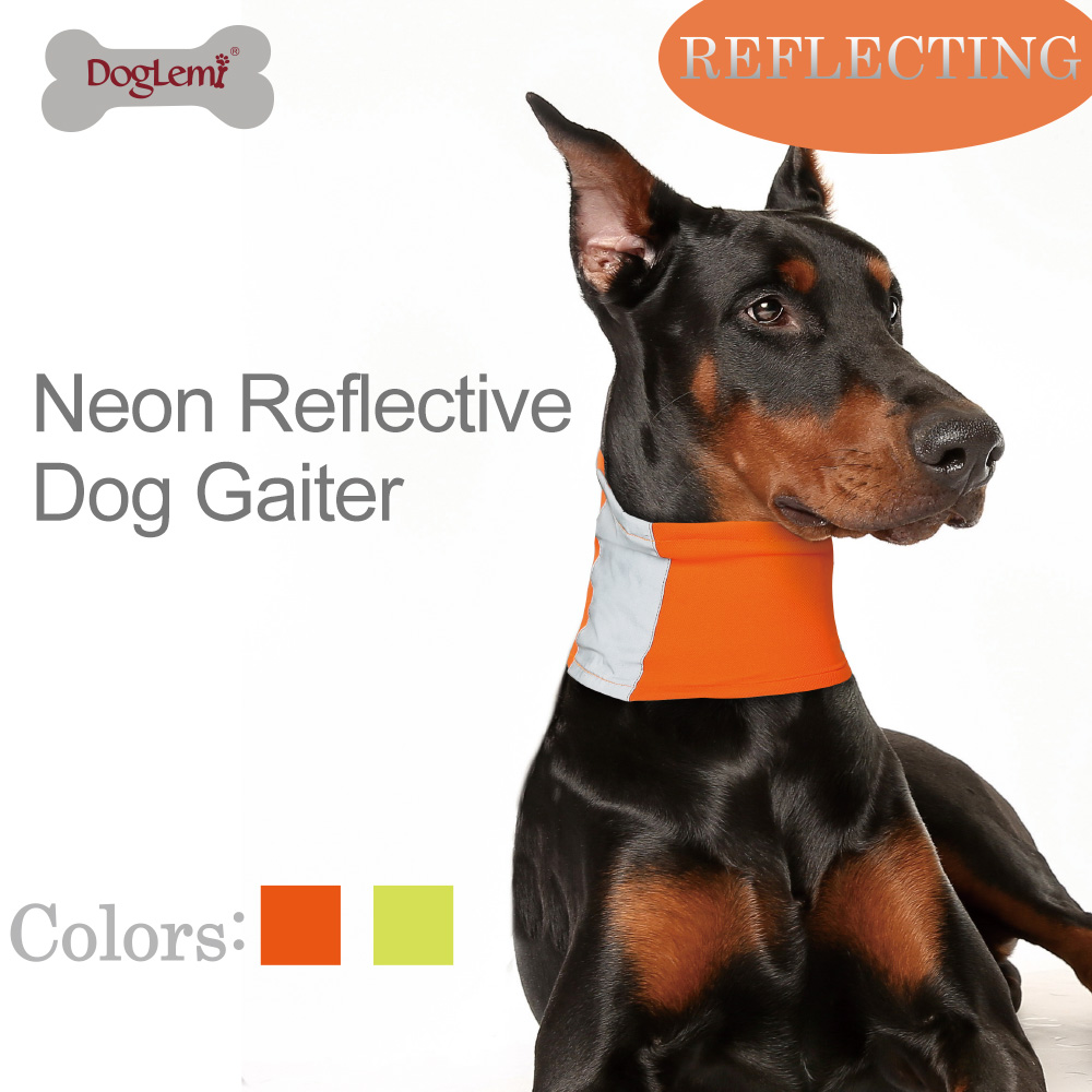 Neon Reflective Dog Collar