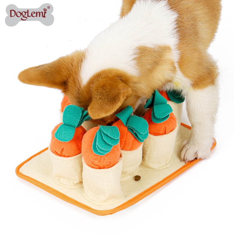 Pull carrot educational dog toy