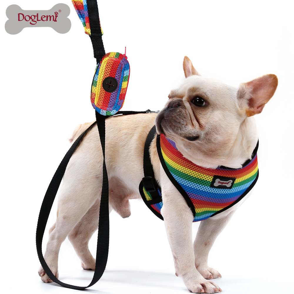 Rainbow Pet Harness Leash