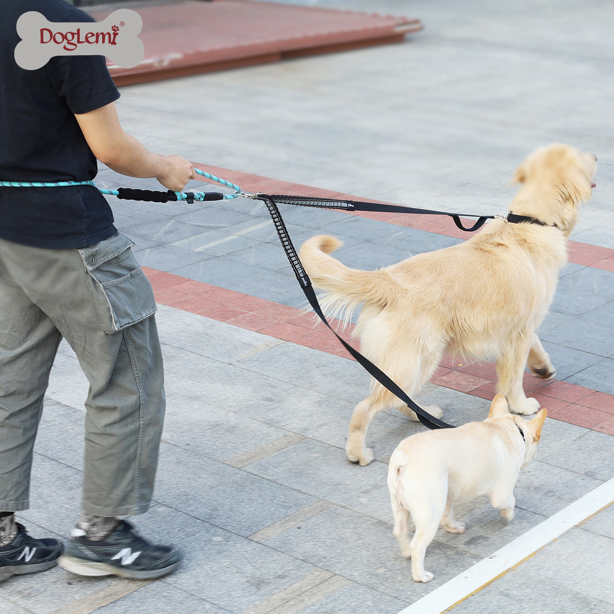 "SPEED" Dog double leash