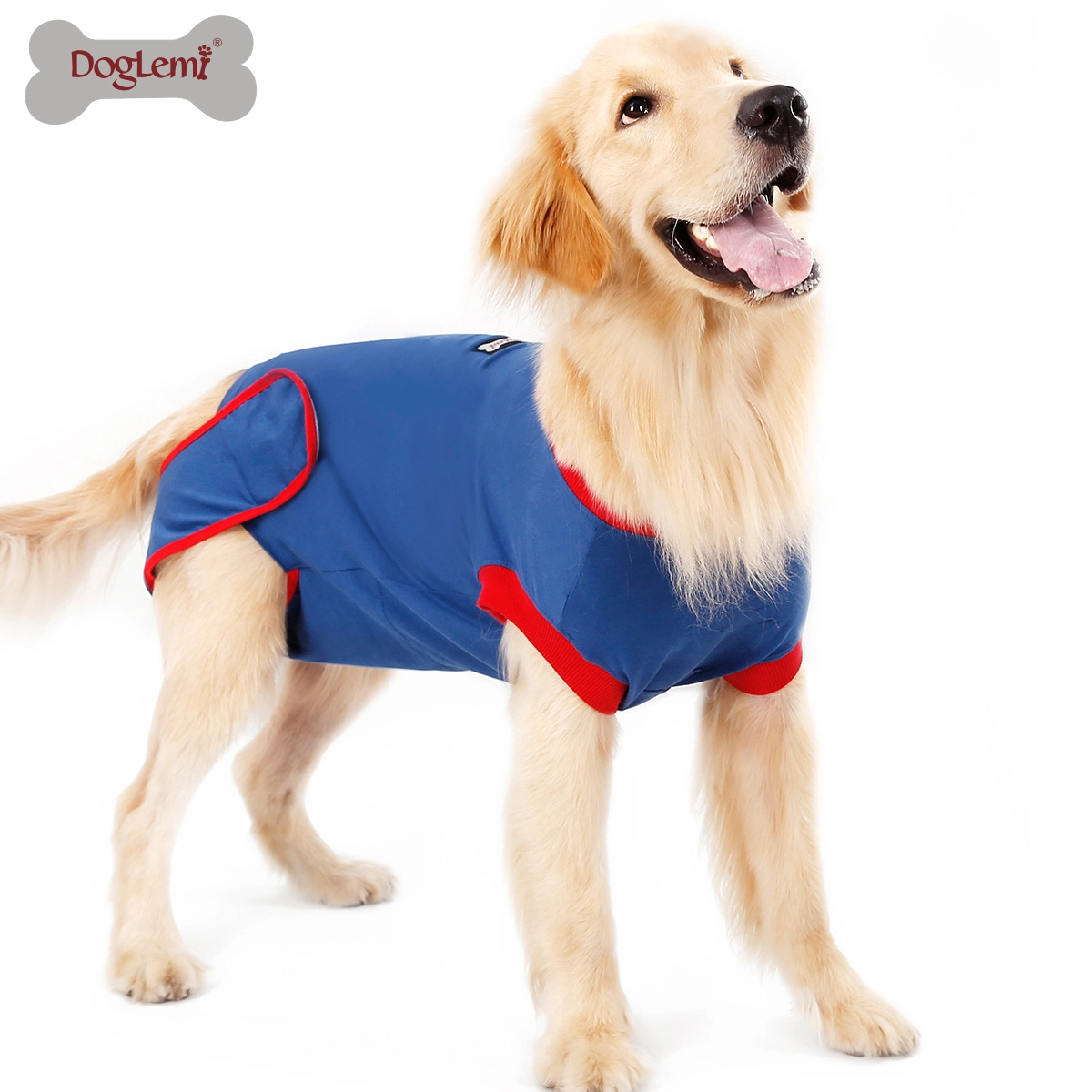 China Surgery recovery dog ​​clothes manufacturer