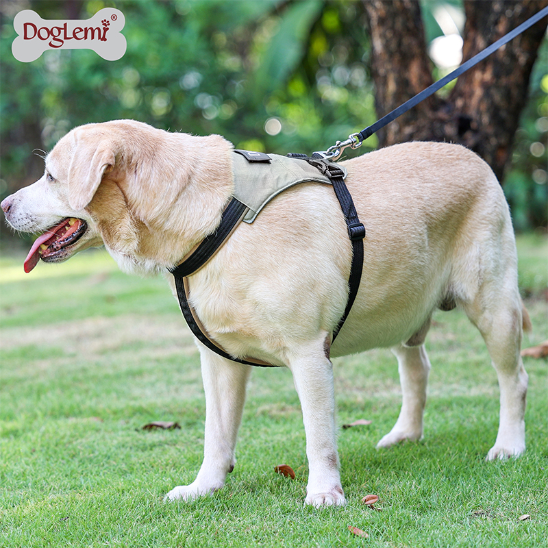 Walking Dog Harness No Pull Pet Vest Harness Adjustable Training Best Padded Chest Pet Harness