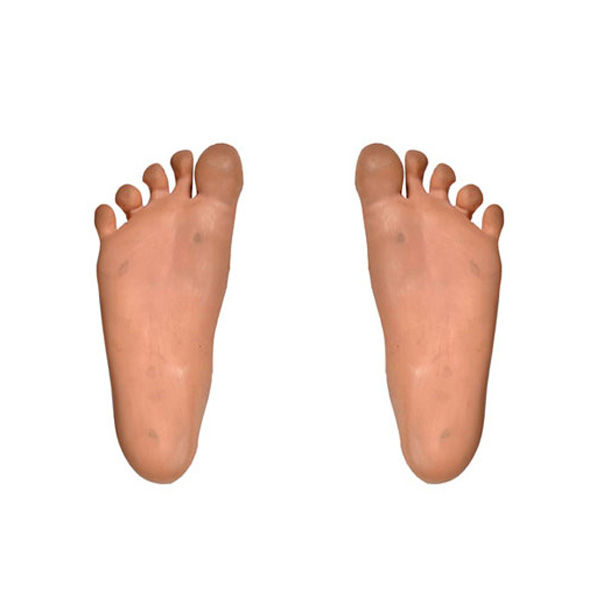 Προμηθευτές ιατρικού μοντέλο πόδι Κίνα PU αφρού χύτευσης πολυουρεθάνης αφρό μοντέλο πόδι μια καρφίτσα αυτο πολυουρεθάνης εκδορά μοντέλο υλικό