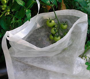 Non Woven Protection Bag Factory, Nonwoven Bagging Wholesale, Agricultural Fruit Bag Company