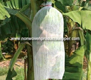 Spunbond Non Woven Bagging Manufacturer, China Nonwoven Bagging Vendor, Non Woven Fruit Bag Wholesale