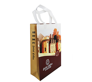 China Takeaway Bag Manufacturer, Nonwoven Packaging Bag Supplier, Non Woven Fabric Bag Wholesale