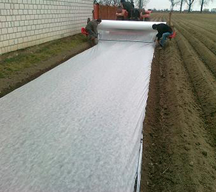 Agricultural Fabric Supplier, Agriculture Cover Factory, Agricultural Covering Nonwovens Wholesale