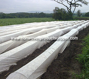 China Spun-bond Non Woven Factory, Polypropylene Spun-bond Non Woven Supplier, PP Non Woven Fabric Manufacturer
