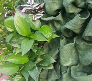 China Root Pouch Vendor, Grow Bags Supplier, Plant Bag Wholesale